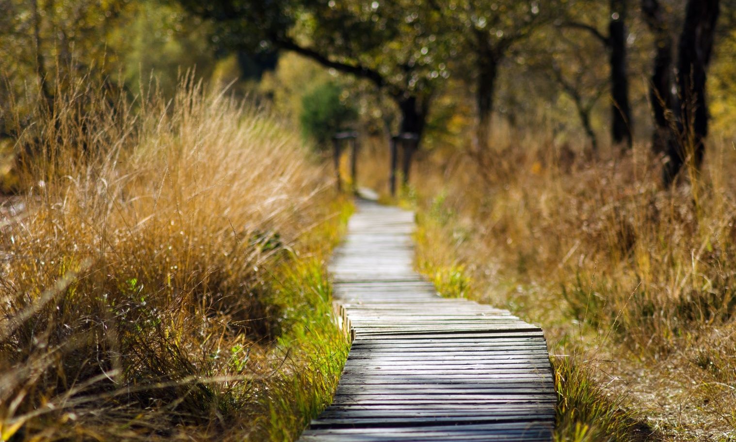 Moje cesta – ilustrační fotografie